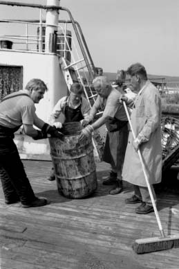 Bild "Chronik:entruempel_2.jpg"